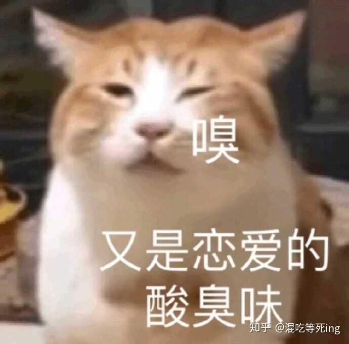 磕cp太上头了