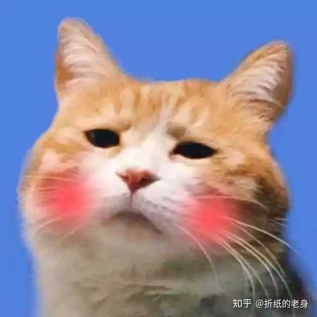 有哪些沙雕/可爱的qq头像?