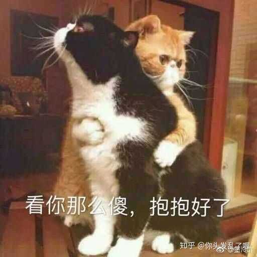 有哪些安慰别人的表情包?