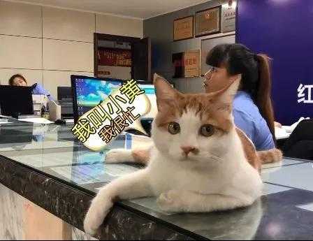 杨逸之 的想法 知乎