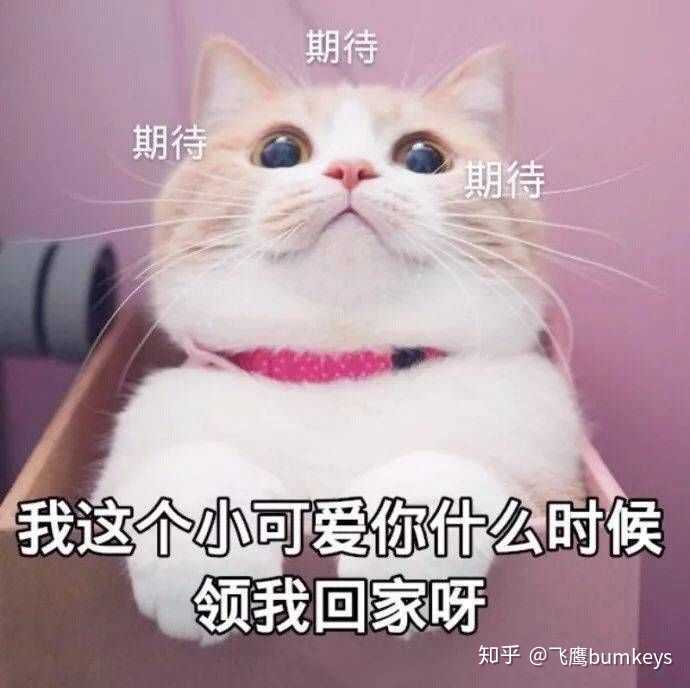 有没有可以给对象发的撒娇的表情包?