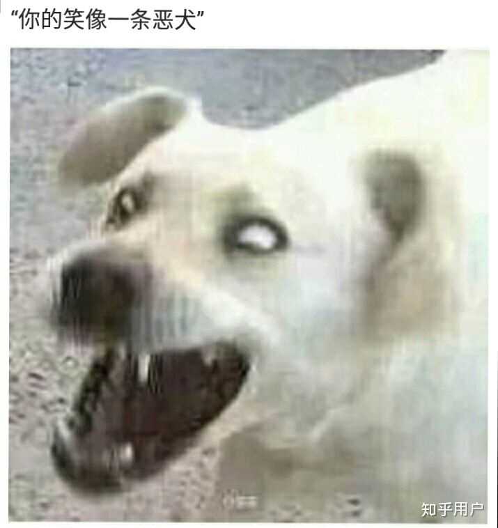 如何评价独立音乐人花粥遭大学老师批评《盗将行》的歌词「狗屁不通」