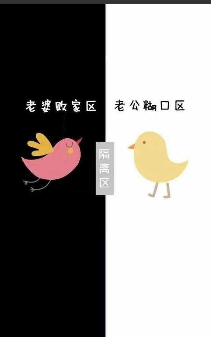 隔离区背景图片 右边是老公糊口区 左边是老婆败家区?