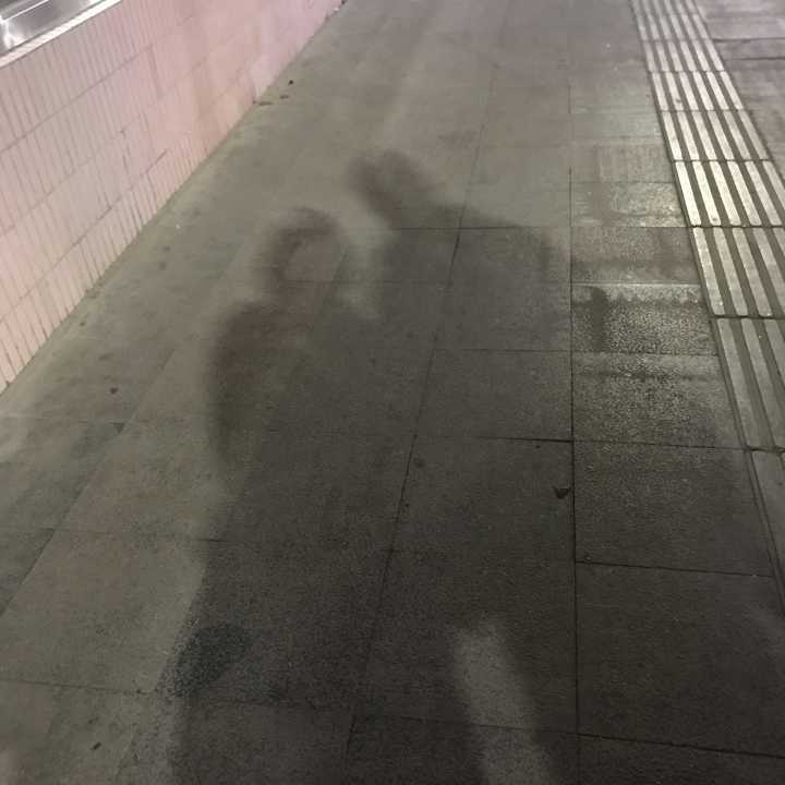 第一天晚上拍的影子