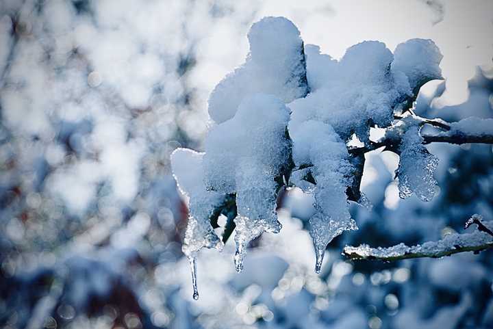 有哪些在自家小区拍出的雪景照片你认为很美?