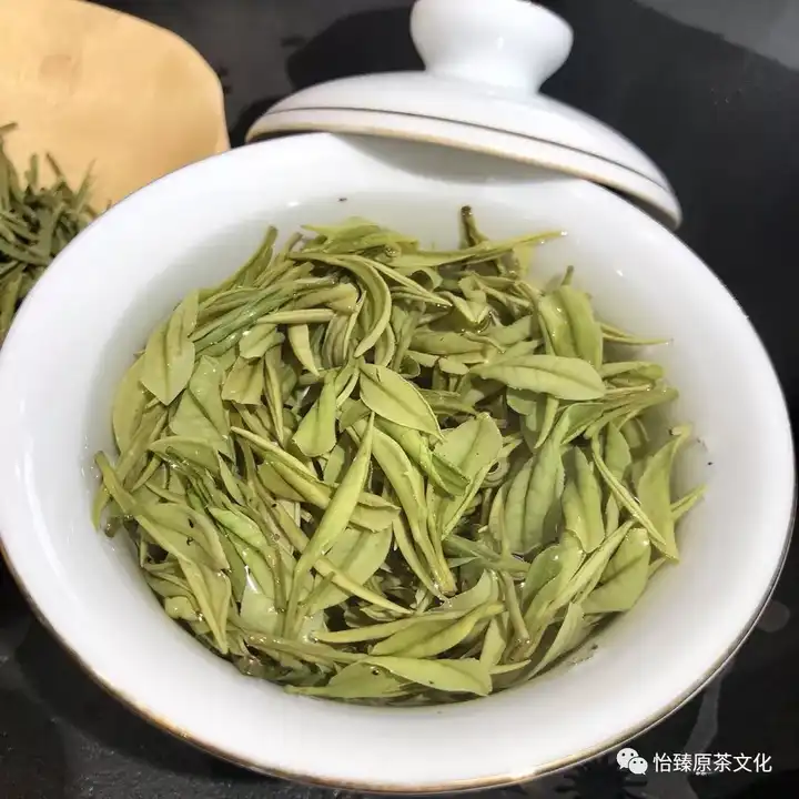 如何识别真正的安吉白茶?