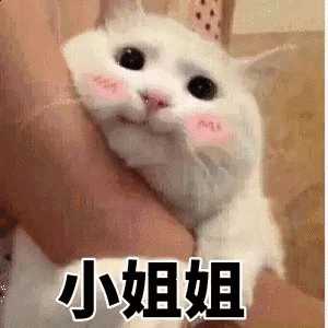 生气了呀 ,来消消气 还有好多超可爱的表情包,当然没我家那位可爱,日
