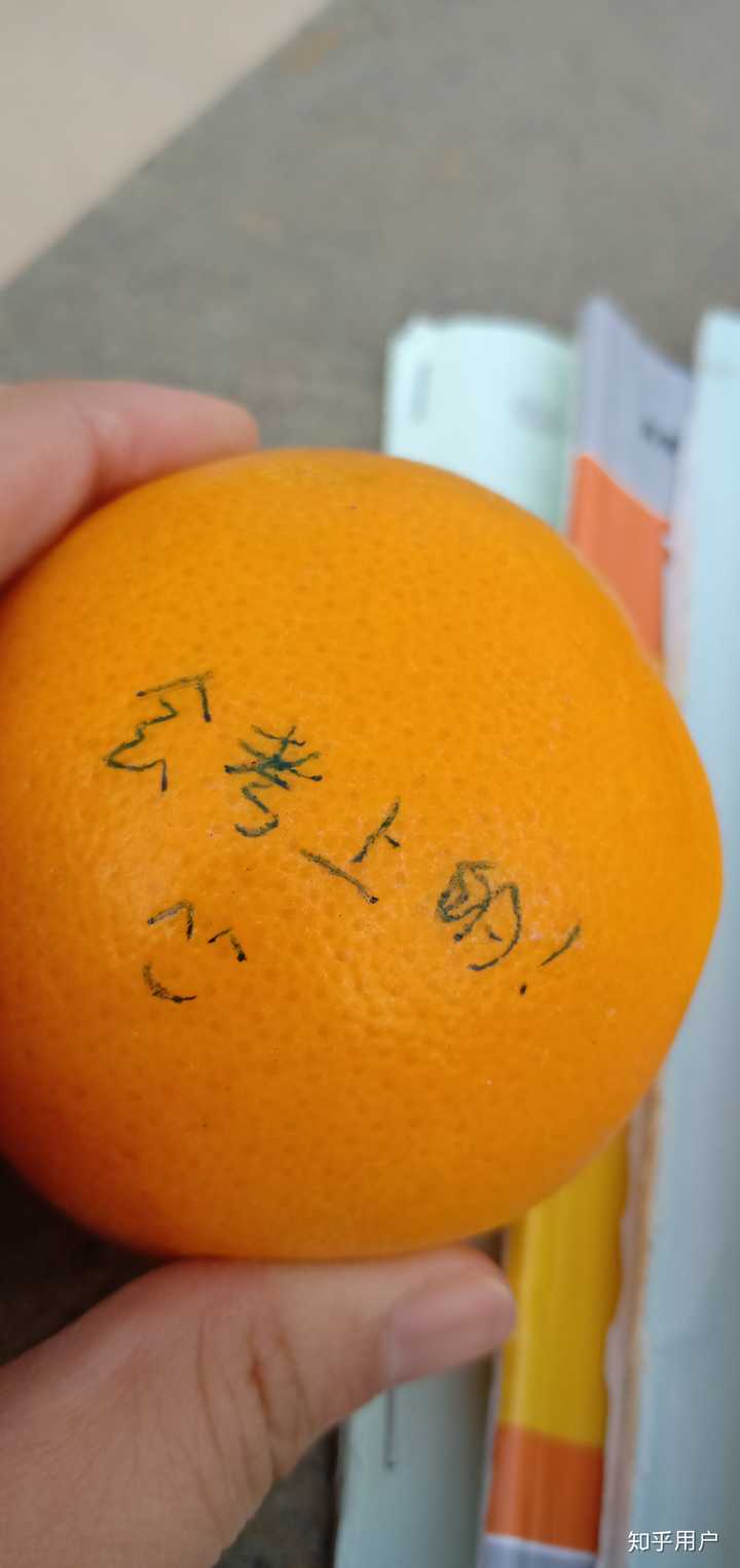 遇见了那么可爱的徐涛老师,结交了好多积极的研友,学到了比大学四年