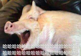 有哪些搞笑怼人的表情包?