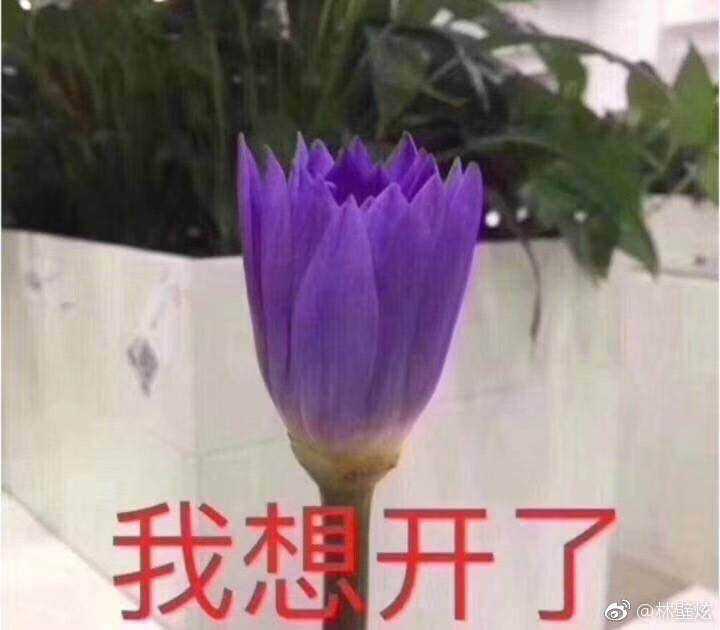 有哪些爸爸妈妈会喜欢的头像还不会太老土?
