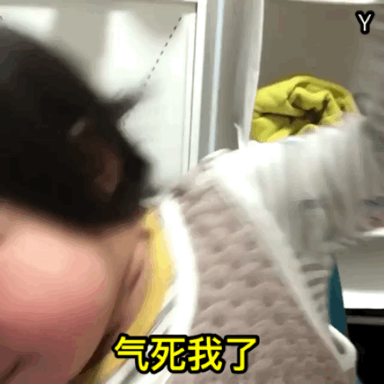 有哪些万能的表情包推荐?