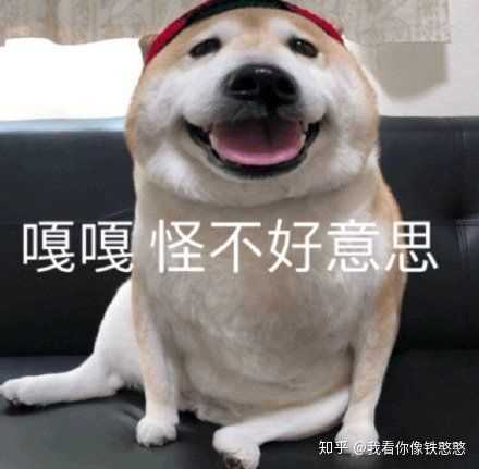 有没有知友有这种狗头表情包了?