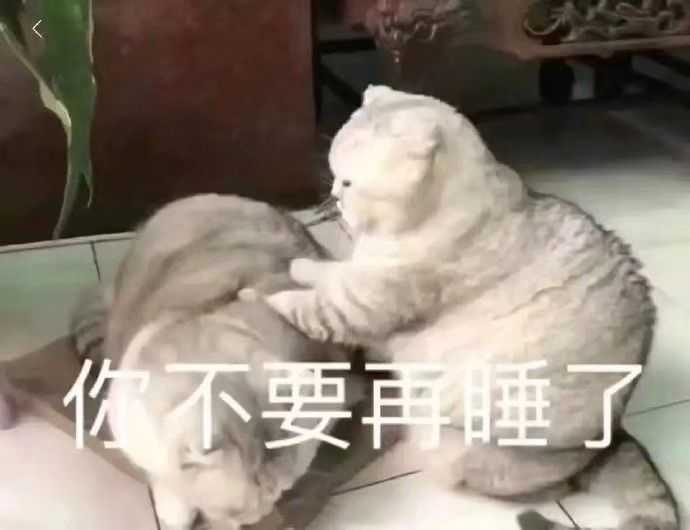 有没有可爱的表情包?