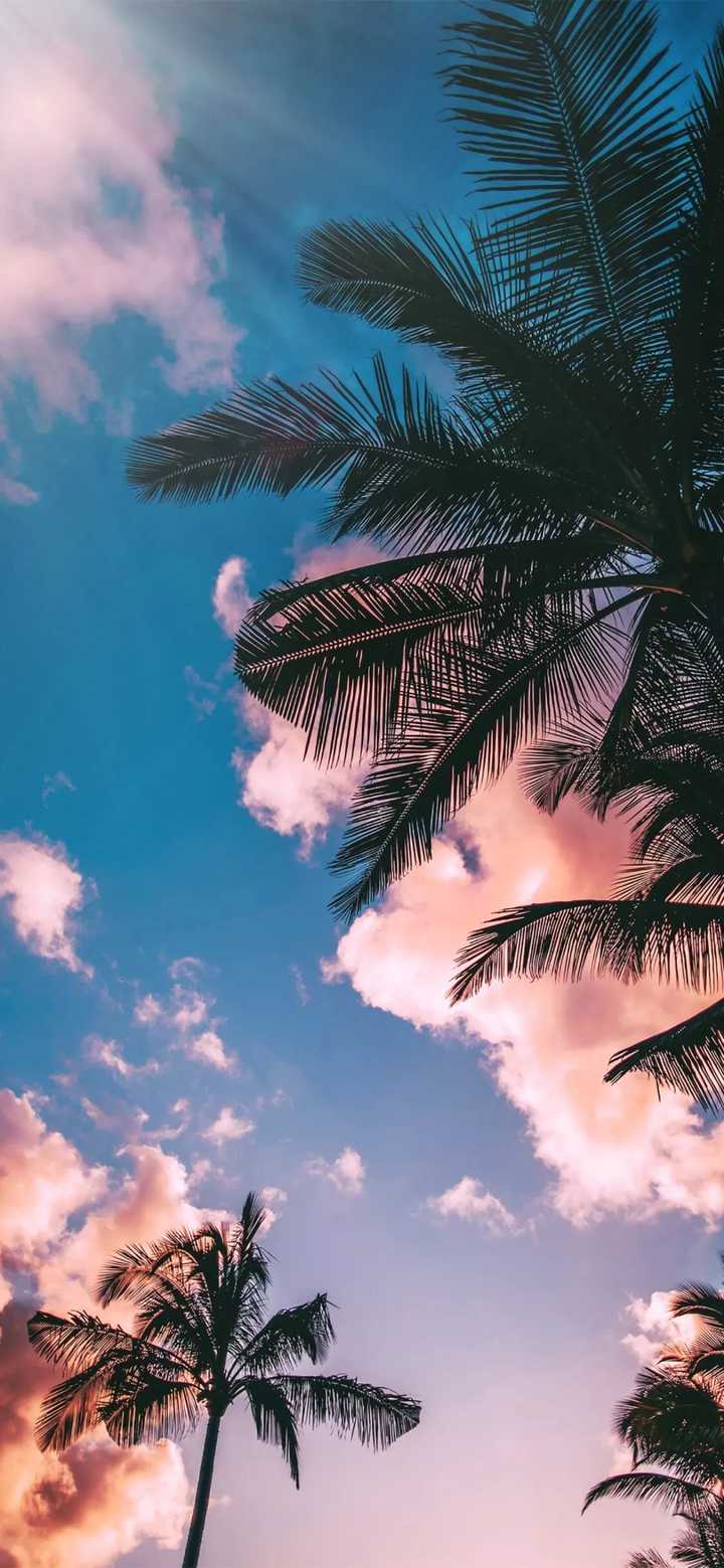 有没有超好看的全面屏壁纸?