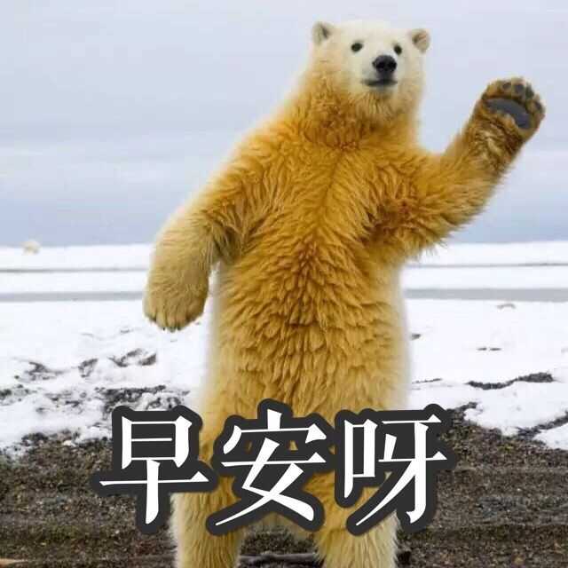 userid=396221479 (来自@网易云音乐) 希望你喜欢北极熊崽崽 它们真的