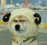 年轻人都喜欢用什么沙雕表情包?