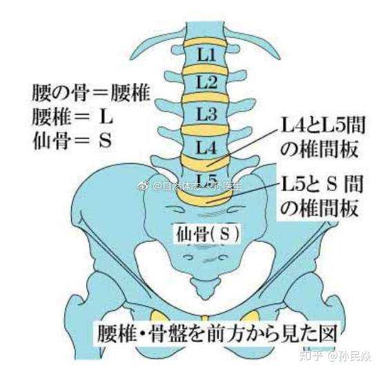 95%的腰椎间盘突出,发生于腰4/腰5和腰5/… - 知乎