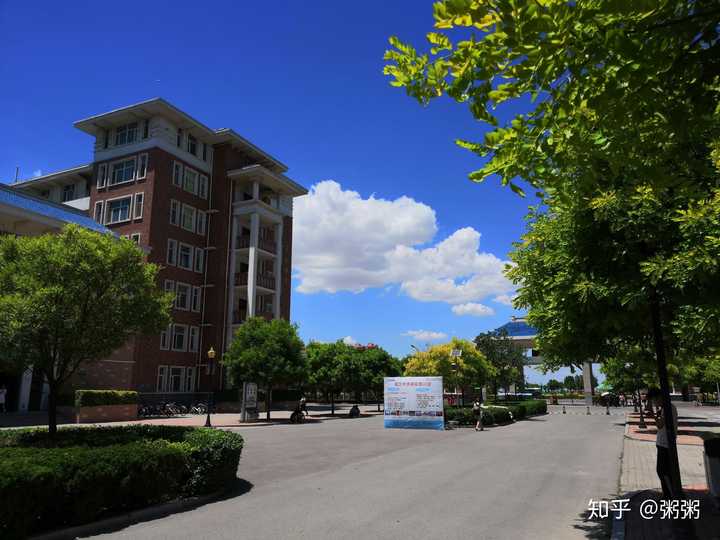 在河北农业大学渤海校区上学是什么样的体验