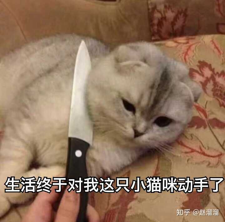 (哈哈哈太多了上传的脑壳疼) 真的有人看的喔喔(ω) 更新啦更新啦