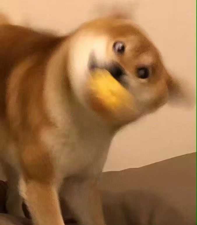 你生平用过最沙雕的表情包是什么?