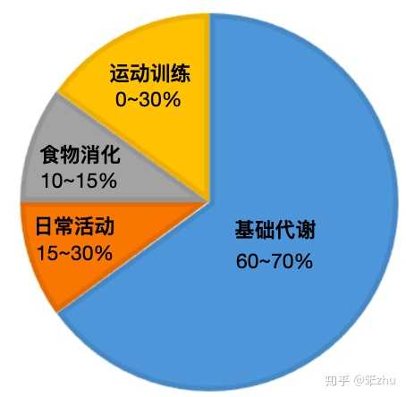 如何快速提高基础代谢达到减肥的目的呢