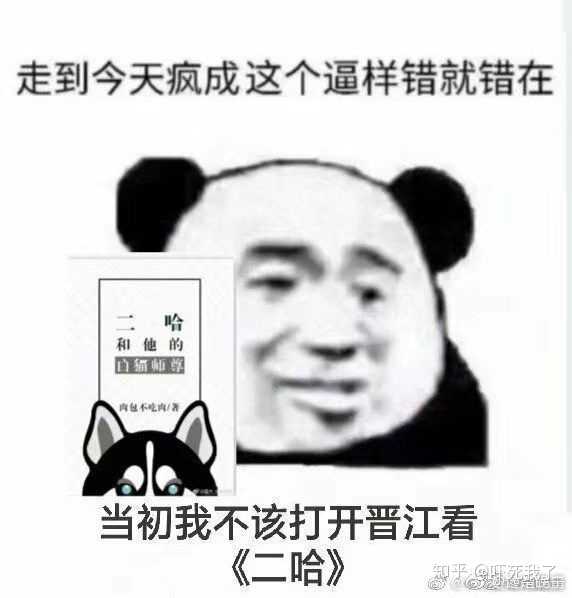 二哈与他的白猫师尊到底好不好看?