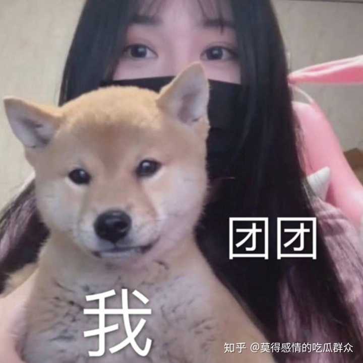 下面放四月十九团子露脸直播表情包,看我爱的女孩.