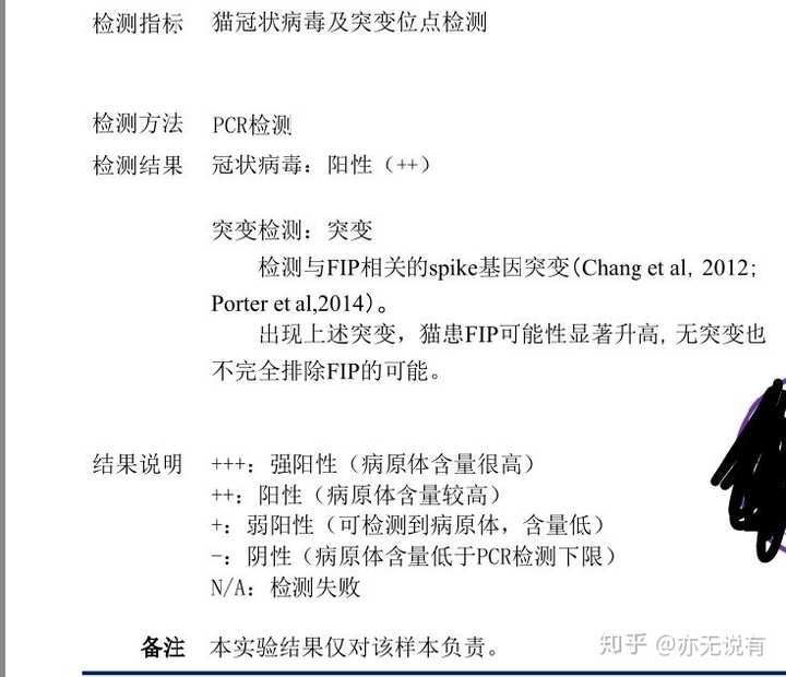 猫传腹到底怎么确认pcr检测阳性冠状病毒就一定是猫传腹吗