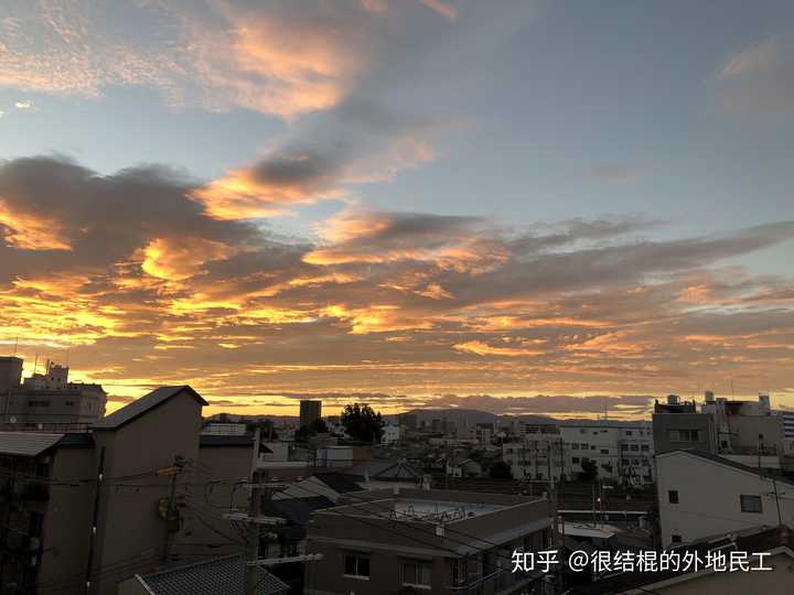 全球人员素质最低的国家---日本(多图)