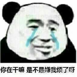 有什么好玩的表情包?