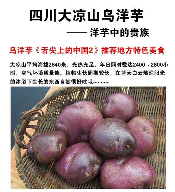 如何看待四川大凉山「格斗孤儿」事件?