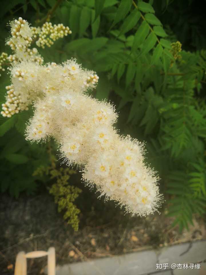 在天津中医药大学就读是什么体验?