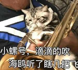 有哪些沙雕表情包?