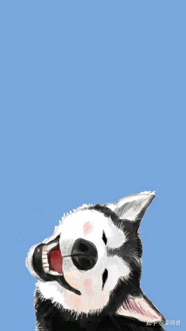 有什么一看就开心的壁纸?
