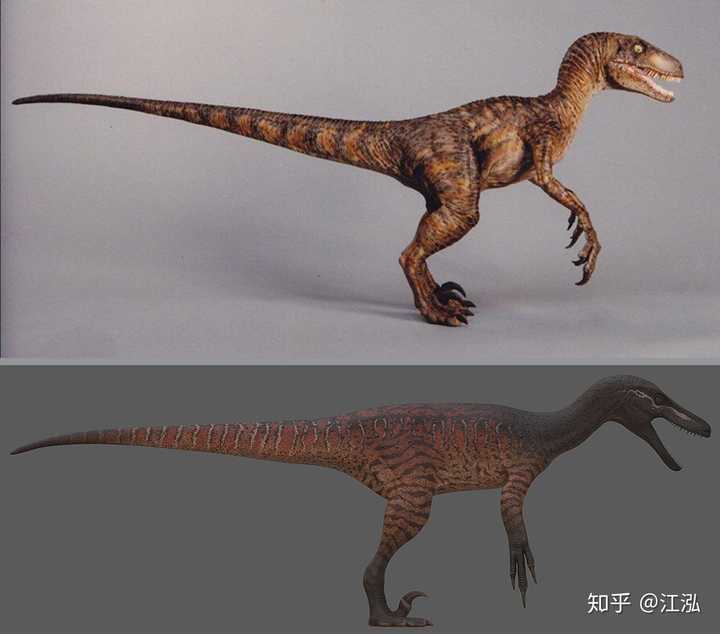 现实中哪种恐龙最符合《侏罗纪公园》《侏罗纪世界》中的迅猛龙形象?
