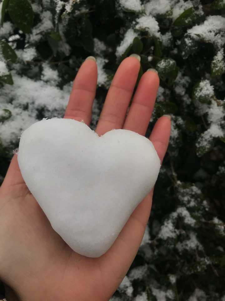 你的城市下雪了吗,可以用视频分享雪天可以做的有趣事情或者雪景吗?