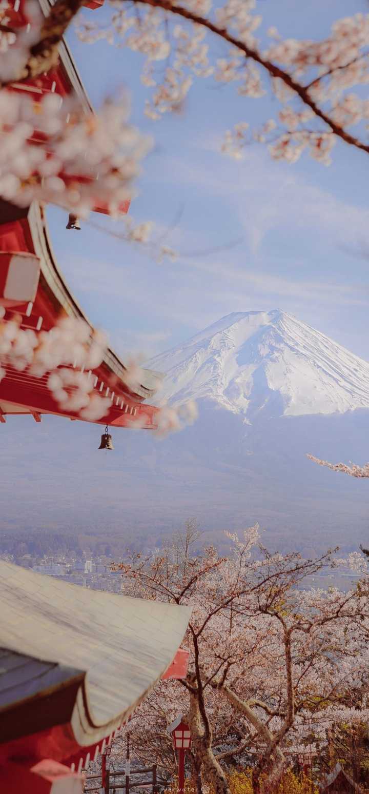 最日系的首推富士山啦