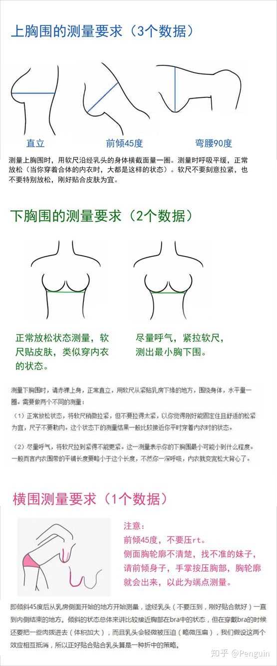 胸围测量方法