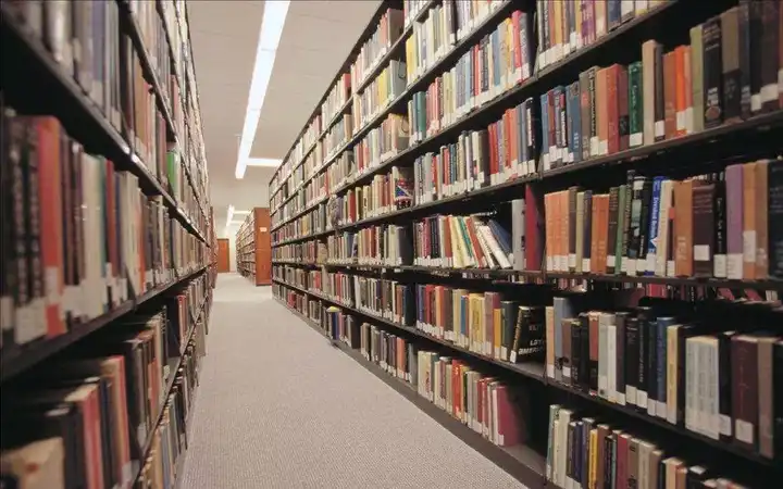 图书馆长什么样?一排排高高的书架,上面一格一格摆满了书.