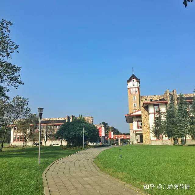 如何评价三所东软学院:大连东软信息学院,广州东软学院,成都东软学院?