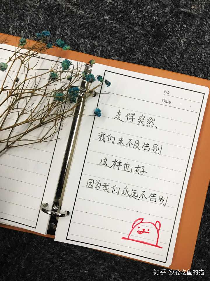 有哪些你觉得很诗意的句子?