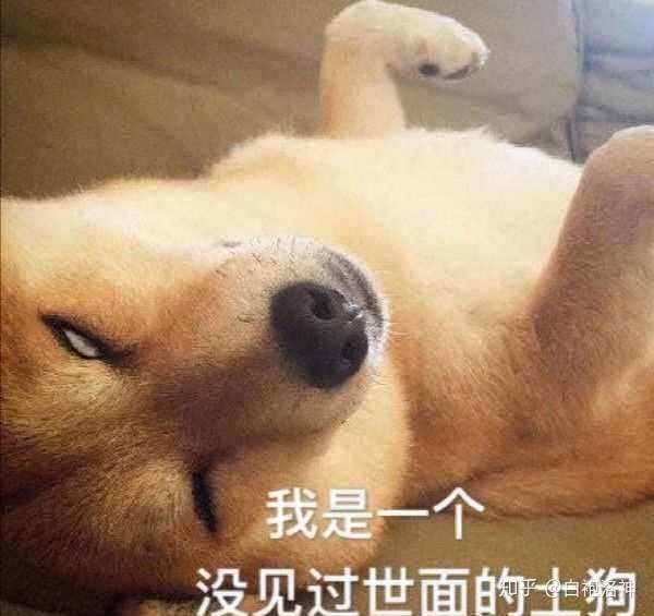我倒立洗头好吧.