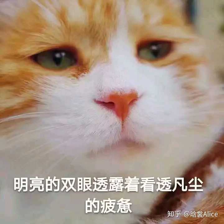 看破凡尘 厌烦俗世 从不食人间烟火的仙气