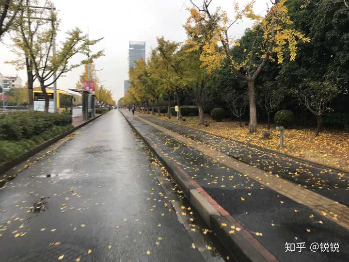 图片是某天下班,结果下雨觉得道路很美 但是一个人在上海真的是很孤单