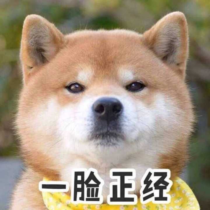 黑人问号脸:秃头什么鬼