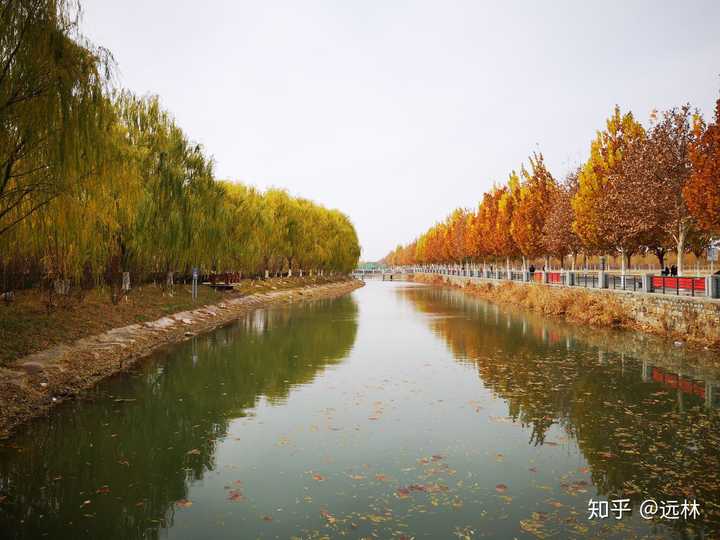 河北工业大学的校园环境如何?