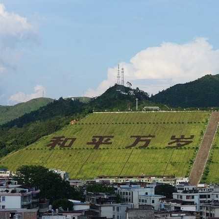 和平县,位于广东省河源市,虽然这里没有盛大的超市和各种奢侈品,但是