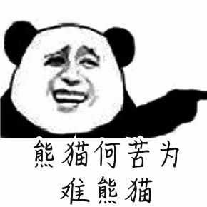 你有哪些压箱底的表情包
