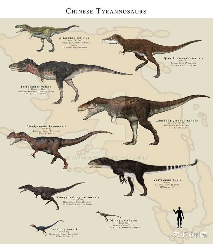 求恐龙大小比例图?