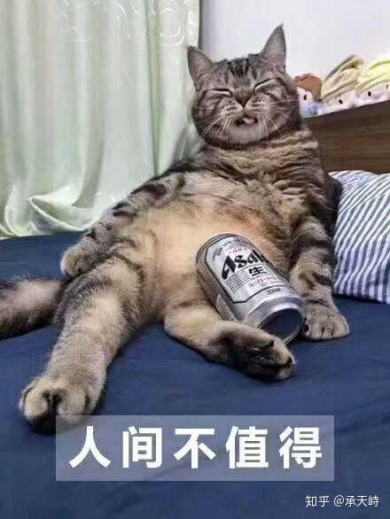 深夜灵魂拷问